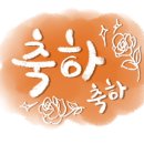 콩별뜨개
