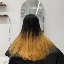 살롱드존