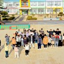 도개초등학교 이미지