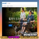 광주전동휠체어 | 휠체어를 타고 학교 가기! 먼저 인사해 주실래요.. 전동휠체어 선택