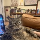 일동동물병원 이미지