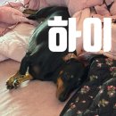소이연남 부산신세계프리미엄아울렛점