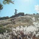 강남아빠 공인중개사사무소 이미지