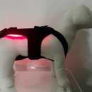 조군농장 이미지