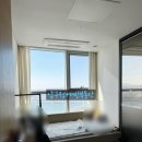 압구정-126 이미지