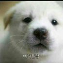 유비에이