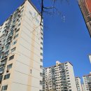 서초진흥아파트 이미지