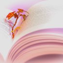 창녕파3 골프랜드 | 창녕파3골프랜드 예약방법 근처 맛집 이용시간