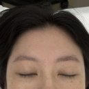 테일디뷰티