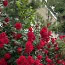 갤러리식당101식당 이미지