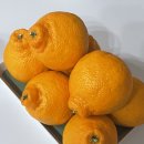 민우네농장 이미지