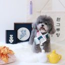 히히 그루밍 이미지