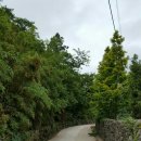 장흥 달바위펜션 이미지