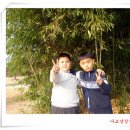 강산그래픽