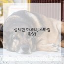 미소헤어샵 이미지