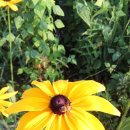 강릉커피박물관 이미지