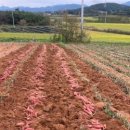 김원섭농장 이미지