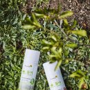 한국코와(주) 이미지