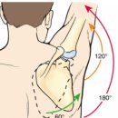 분당-수내-304 이미지