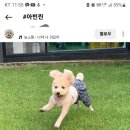 아빈린