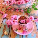봄 향기를 담은 차 한잔 하시겠어요..? 이미지