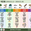싱싱한식자재