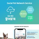 안녕펫(물어보개) 이미지