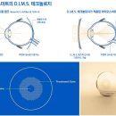 진광학안경 이미지