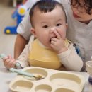 한빛아시안마트 | 2월 2주차 주간일기_ 29주 백일해 접종, 딸꾹질 시작, 설날연휴 세종 1박2일 가족모임