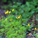 김해한일여자고등학교 이미지