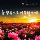 오창공인중개사사무소 이미지