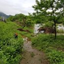 회현리 충신열녀문 이미지