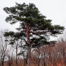 대  산 | 강원도 고성 가볼만한곳에서 즐기는 가을 사찰 여행 코스 화암사 건봉사.