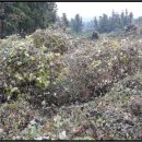 도순주유소 이미지