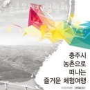 블루베리체험 충주농촌문화체험협회 충청도 당일치기 블루베리농장 위치 예약 후기