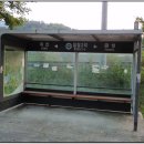 월림리[동] Daum카페