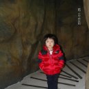 목마코너 이미지
