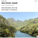 [알레 버스 안내산악회 내변산 산행 후기] 내변산탐방지원센터-직소폭포-관음봉-내소사주차장 #내돈내산