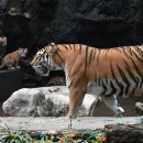 아름나라 이미지