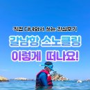 고니민박 | 삼척 갈남항 스노클링 샤워 및 편의시설 주차 정보 총정리