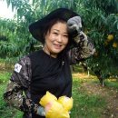 선옥농장 이미지