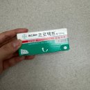 배양 | 일산 마리아 시험관 5일배양 동결 이식 후기 비용 실비