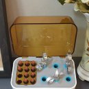 사람인치과의원 이미지