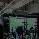 닥터피티 이미지