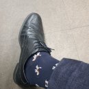 칵투스 아일랜드 이미지