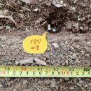 태농농장 이미지