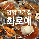 양양이 | 강원도 양양 현지인맛집 양양 고기집 화로애 솔직후기