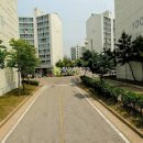 흰바위로 이미지