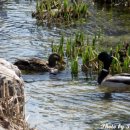 추억의껍데기 이미지