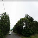 덕수지하수
